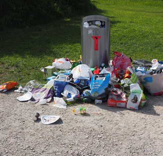 Environmental Waste Management